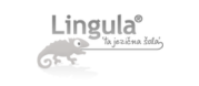 lingula