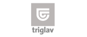 zavarovalnica_triglav